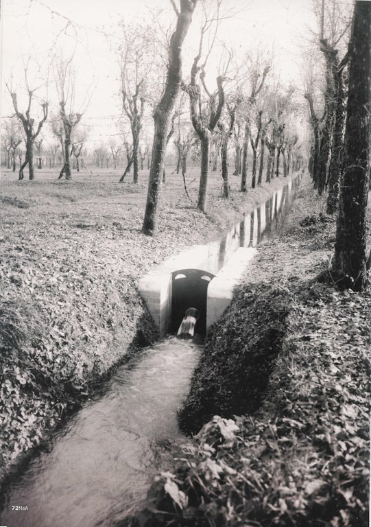 risorgive Cognento risorgive Cognento